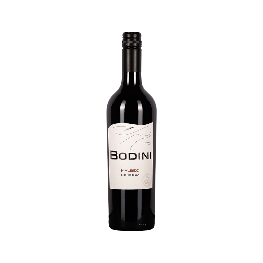 Bodini Malbec