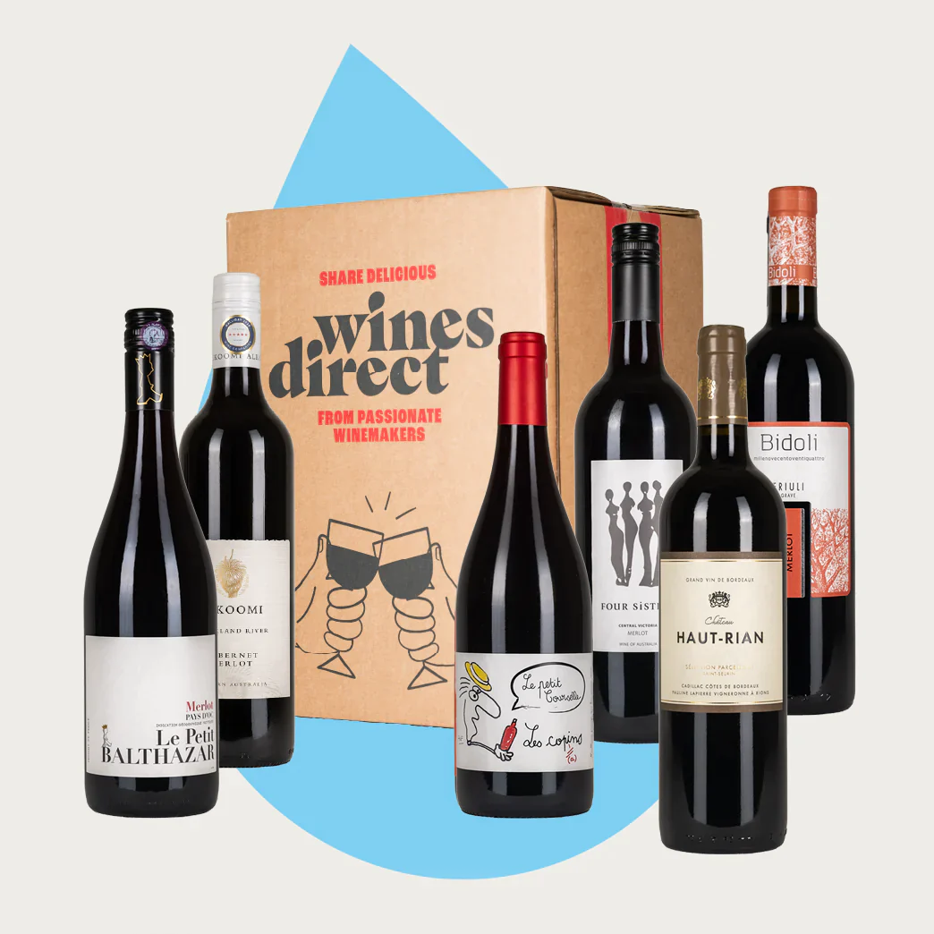 Explore Merlot 6 Bottle Case – Wine Central