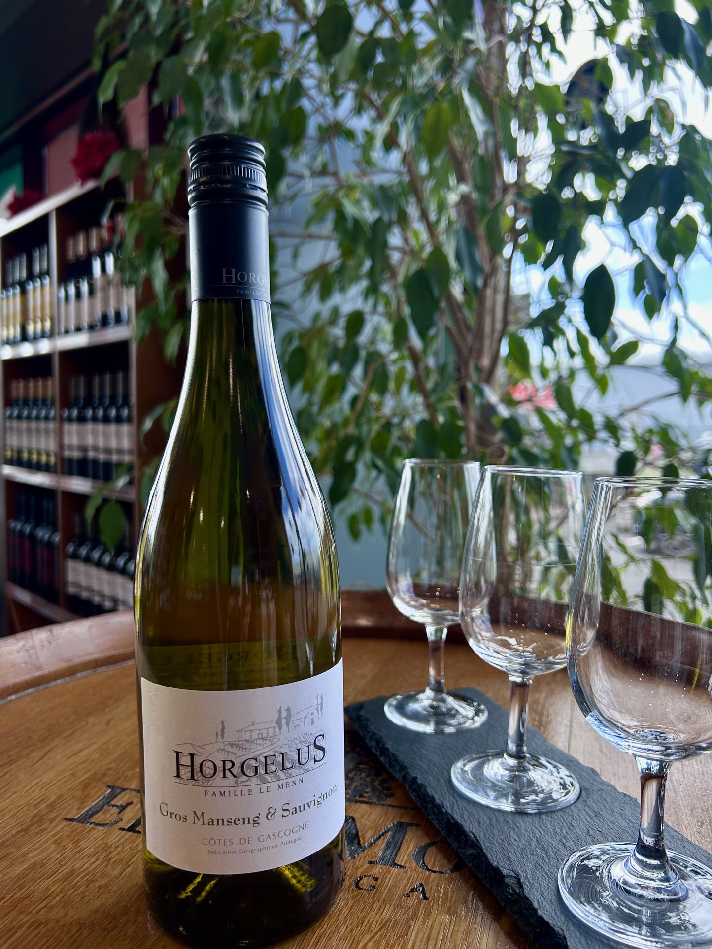 Horgelus Gros Manseng Sauvignon Blanc IGP Côtes de Gascogne France