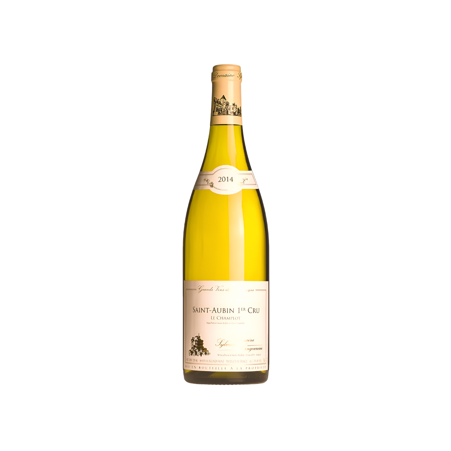 Sylvain Langoureau Saint Aubin 1er Cru `Champlot`AOC France