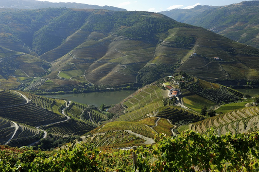 The Only Douro on the List: Quinta do Crasto Named a Hot 100 Wine Brand for 2026