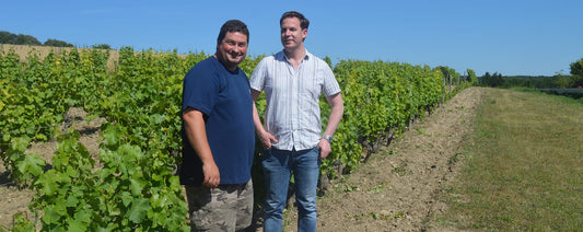 Vincent Ricard, Loire Wine Maverick