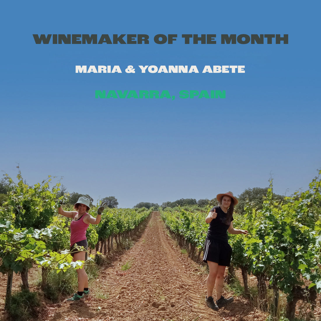 Winemaker of the month: Abete!