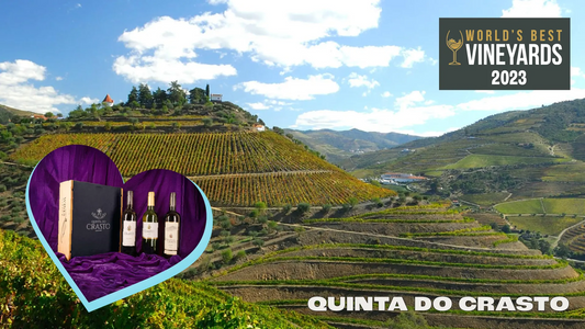Quinta Do Crasto: Top 20 Vineyards!