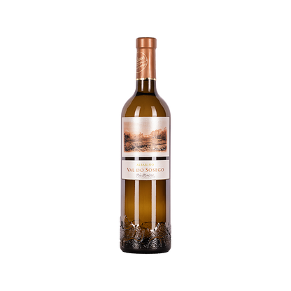 Bottle of Val Do Sosego Albarino white wine from Rias Baixas, Spain