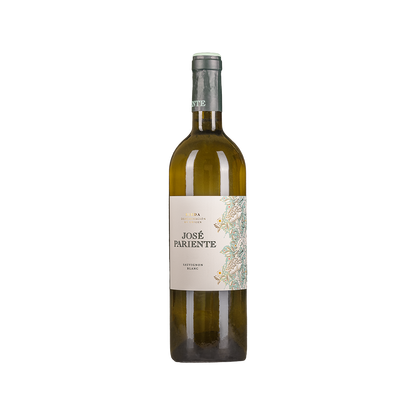 Bottle of Jose Pariente Sauvignon Blanc white wine from Rueda, Spain