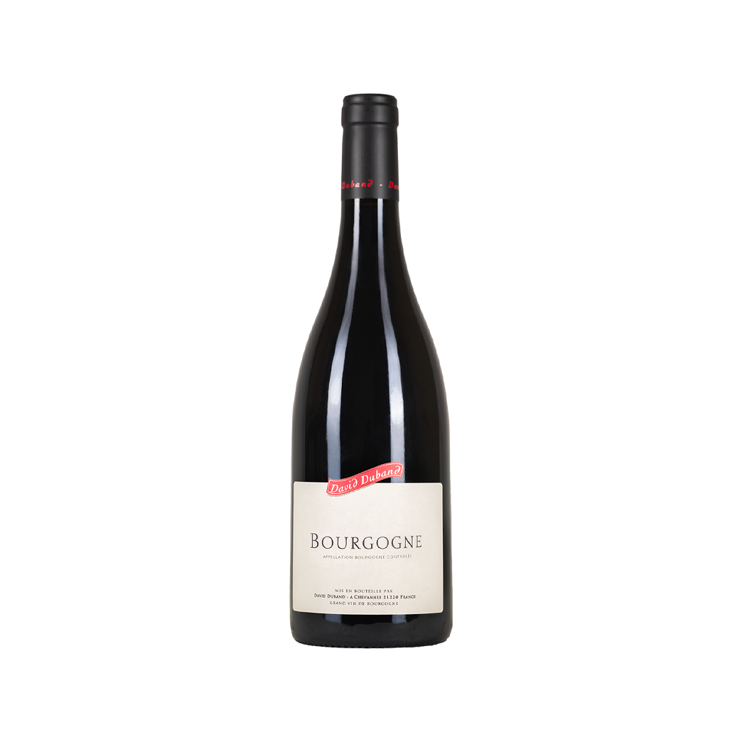 David Duband Pinot Noir Bourgogne AOC France