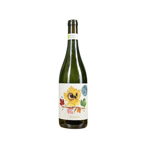 Bottle of Kripia Pecorino white wine from Abruzzo, Italy