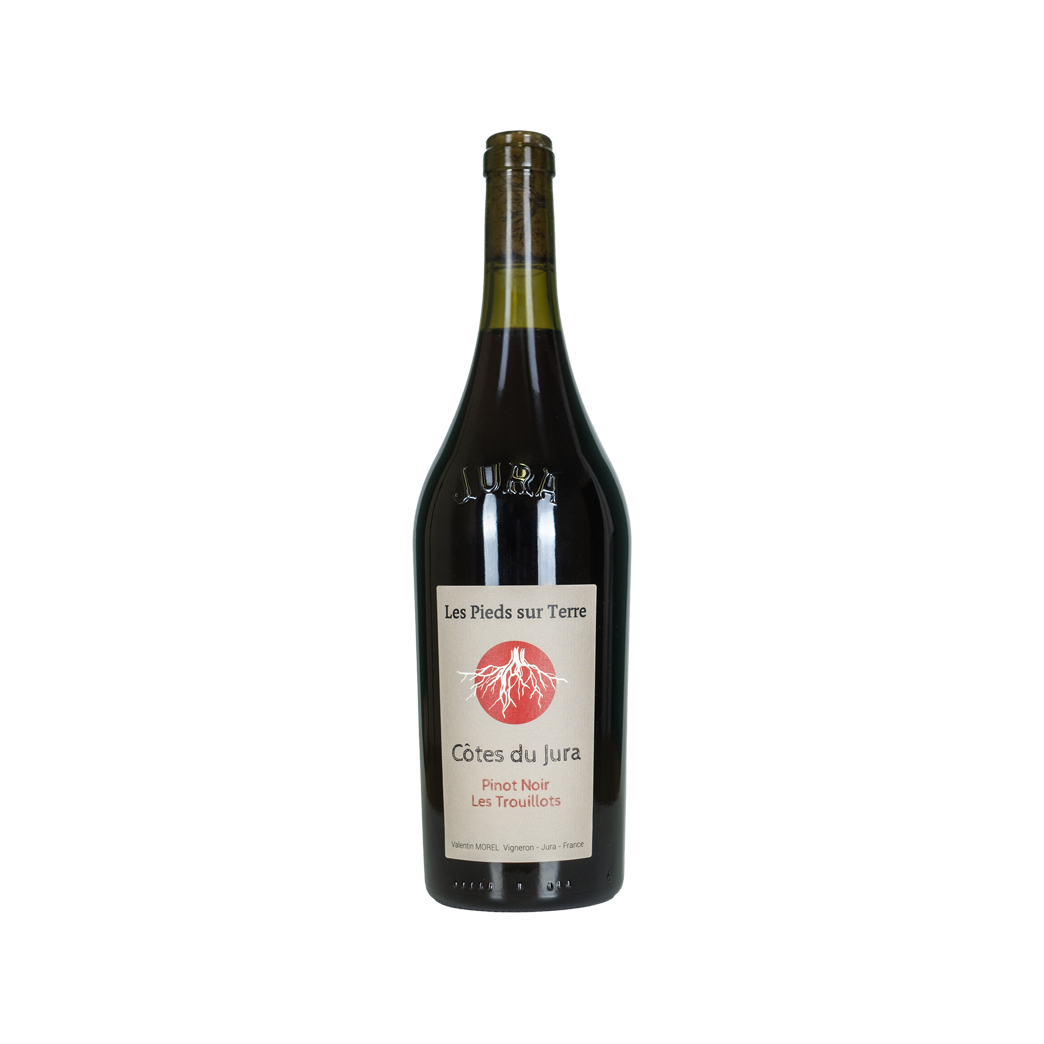 Pinot Noir - Cotes du Jura