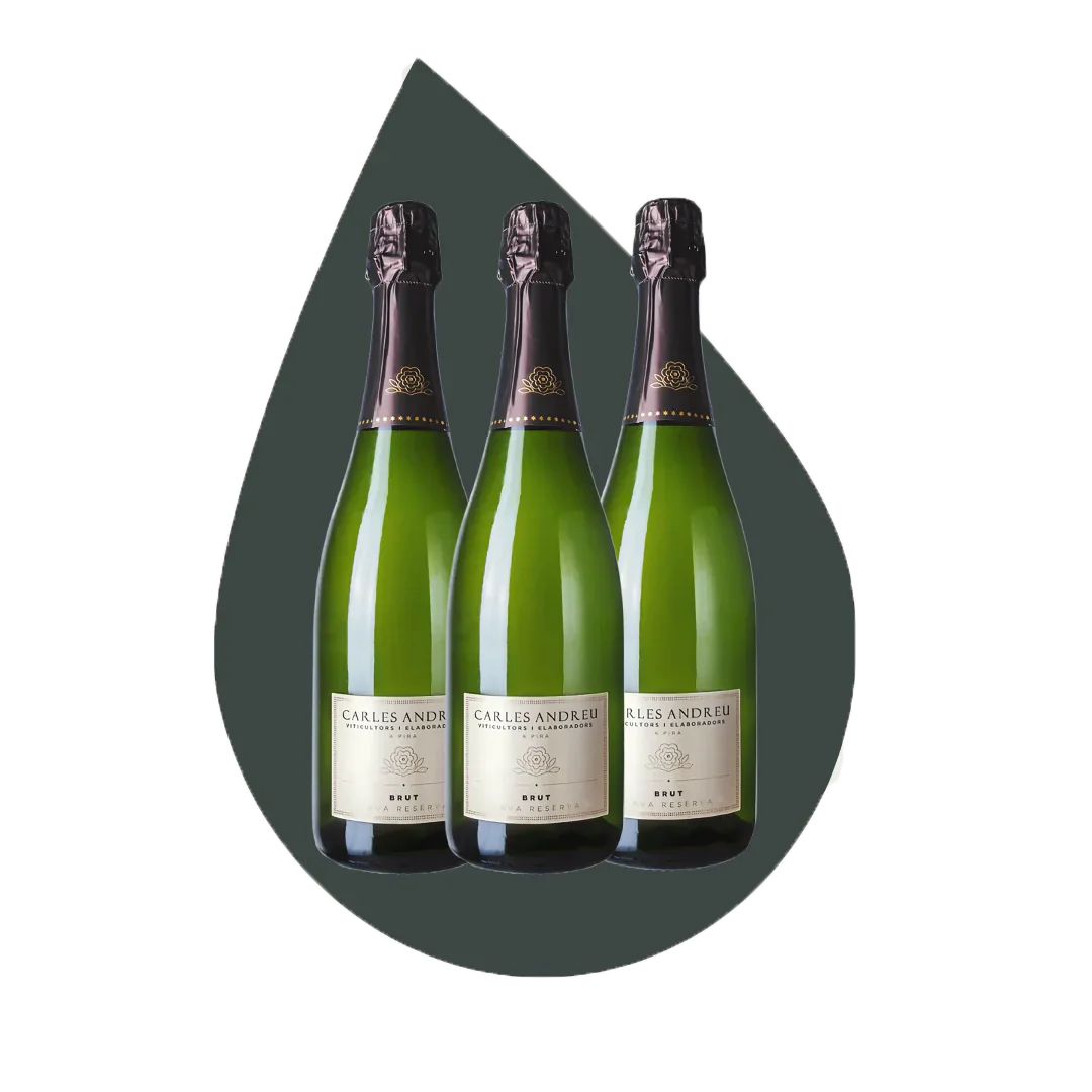 Cava 3 Bottle Case