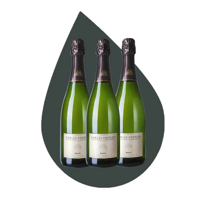 Cava 3 Bottle Case