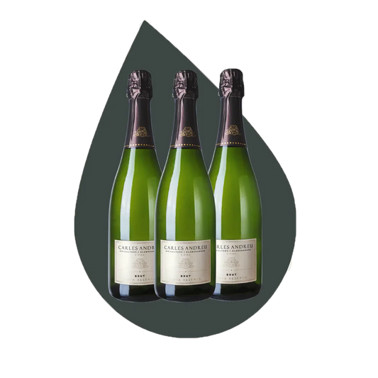 Cava 3 Bottle Case