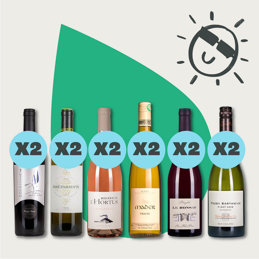 Al Fresco Wine Case - 12 bottle