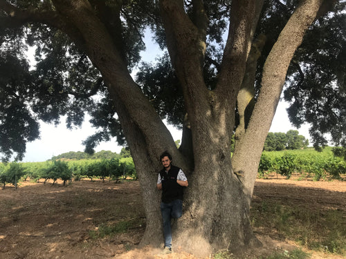 Winemakers