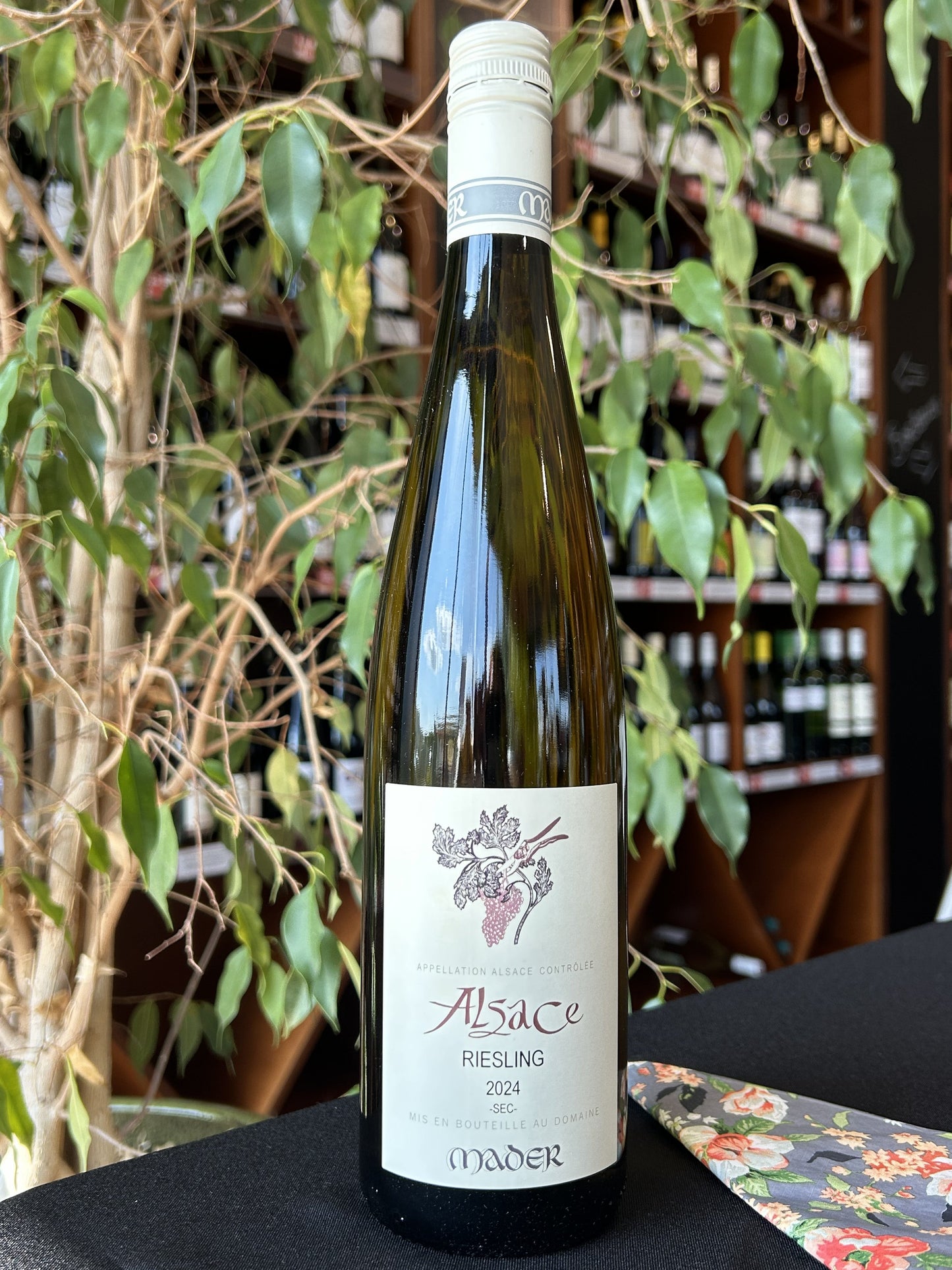 Jean-Luc Mader Riesling lifestyle