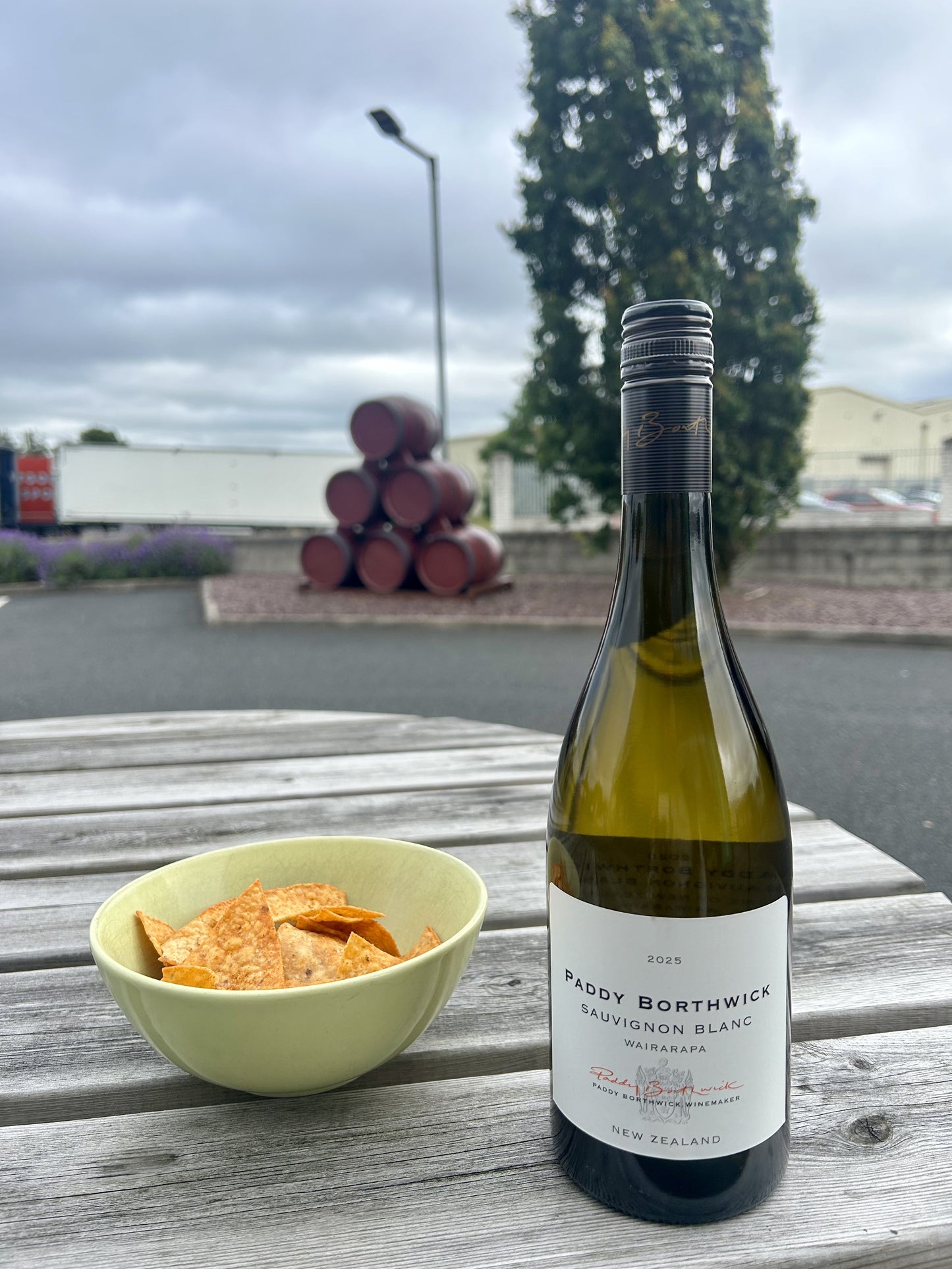 Paddy Borthwick Sauvignon Blanc Wairarapa GI New Zealand