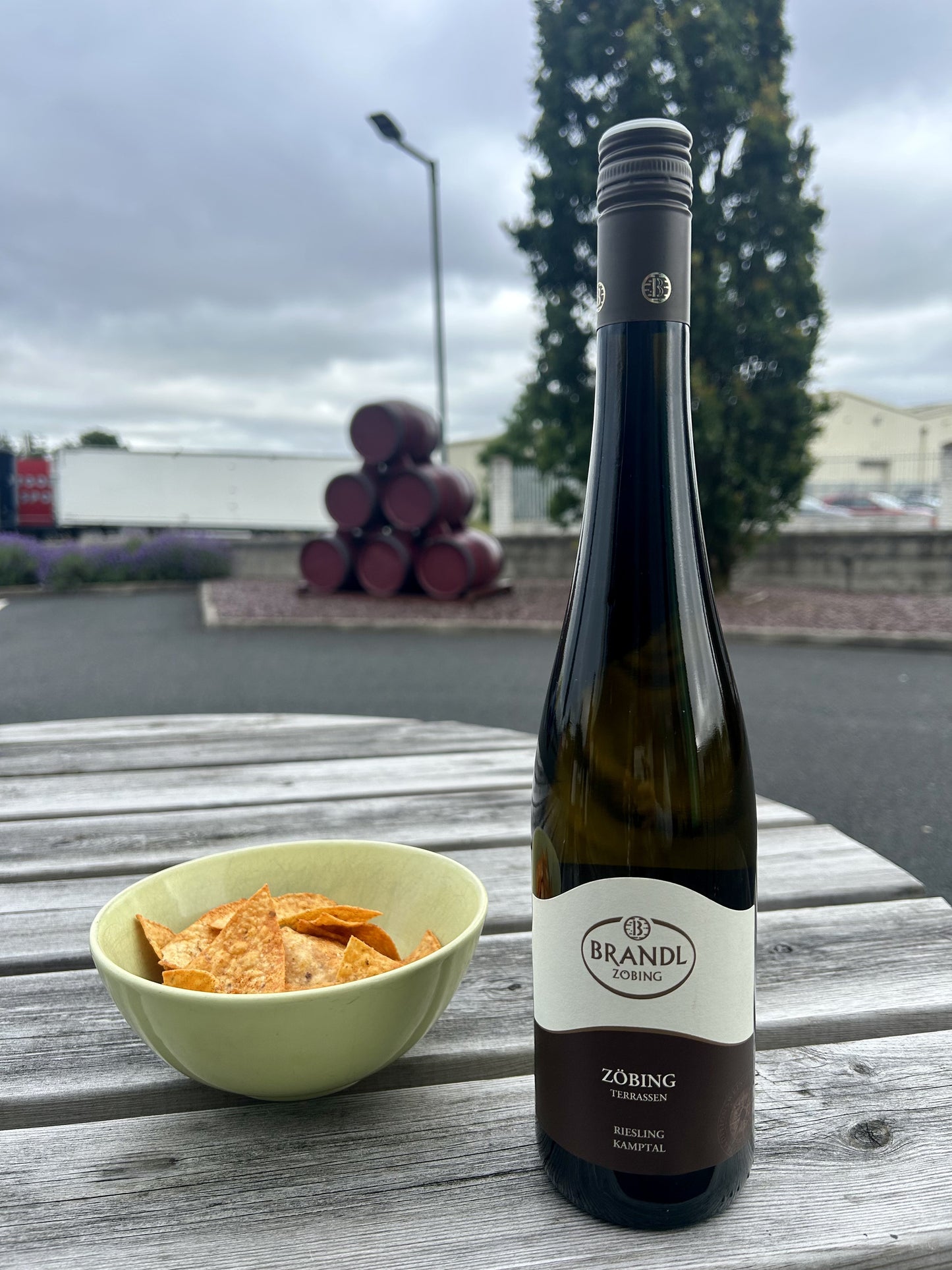 Brandl Riesling Kamptal DAC Austria