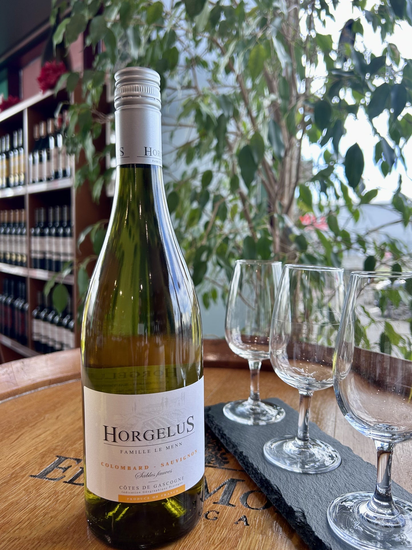 Horgelus Colombard, Sauvignon Blanc IGP France