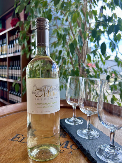 Millet Sauvignon Blanc lifestyle