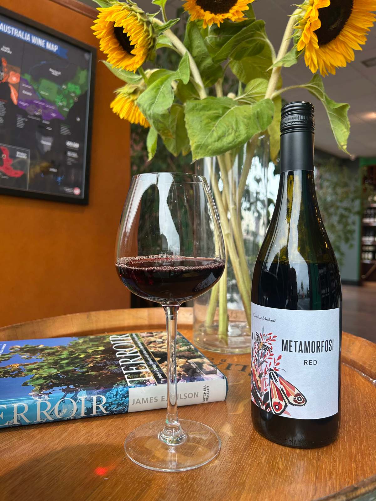 Metamorfosi Merlot Slovenia