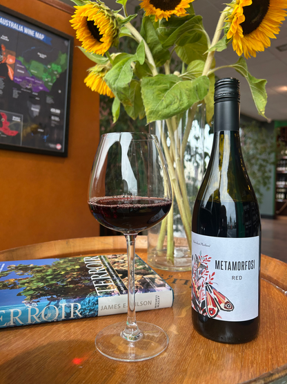 Metamorfosi Merlot Slovenia