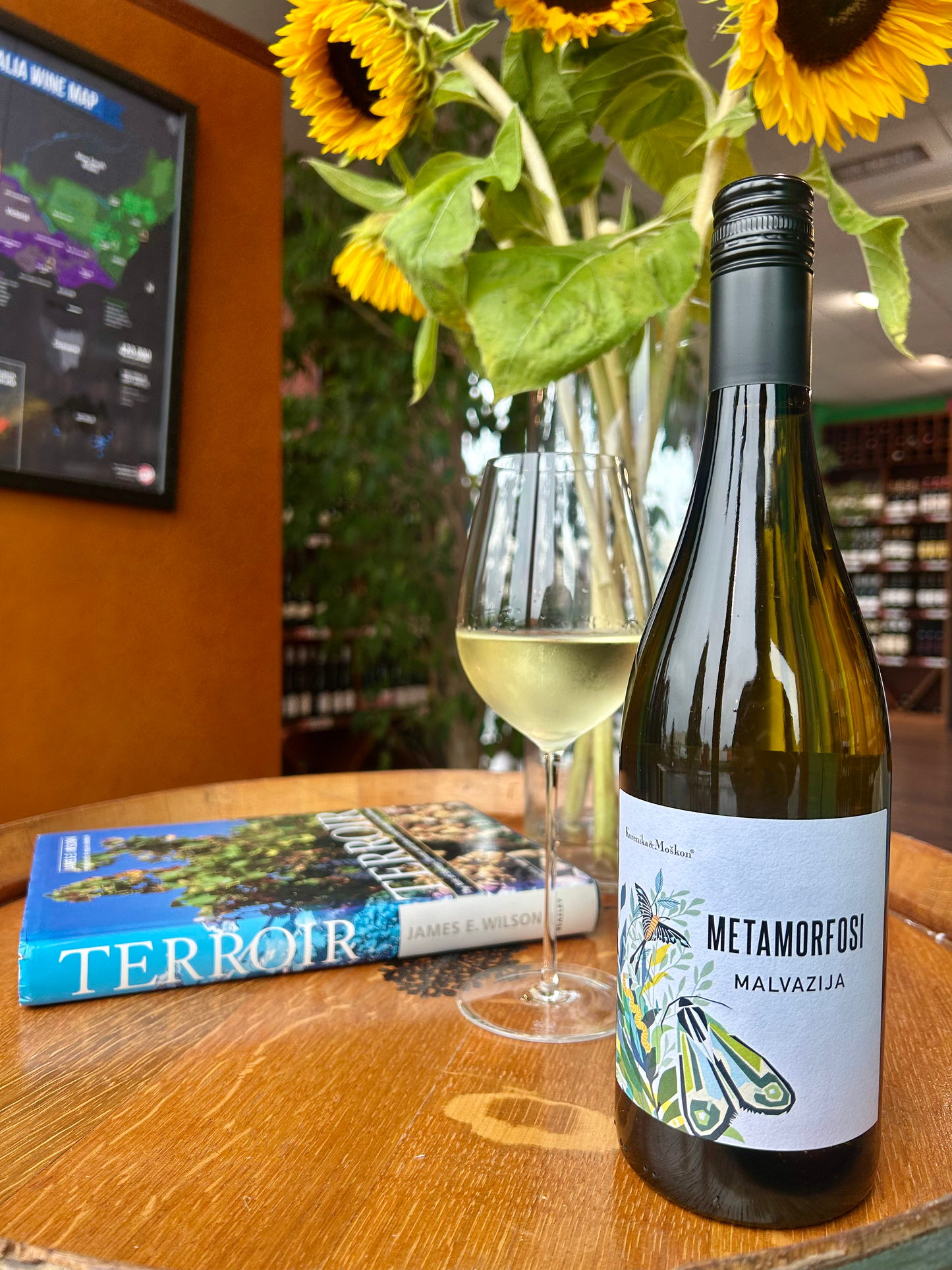 Metamorphosi Malvasia White Slovenia