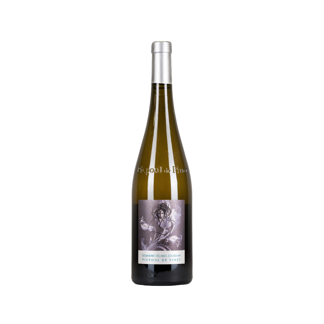Félines Jourdan `Feline` Picpoul de Pinet AOP France