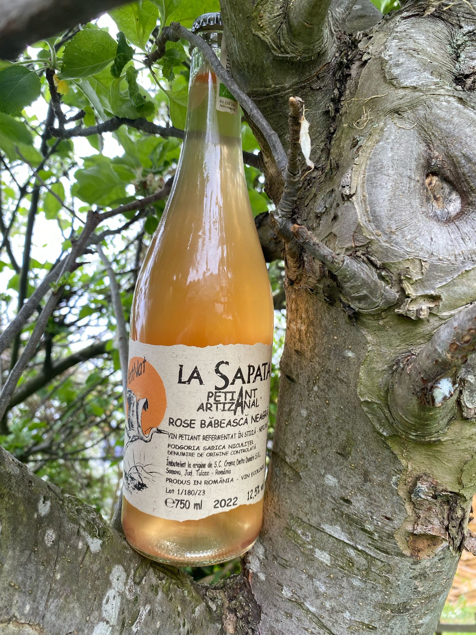 La Sapata Petiant Artizanal Rosé by Di Filippo Wines, natural sparkling rosé from Romania, unfiltered and organic, small-batch artisan wine with bright berry flavours.”**